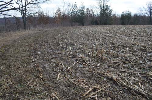 Property photo 37 - 98+/- Acres Offered in 6 Tracts or Combinations, Noble County, Indiana Farm